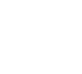 Logo footer